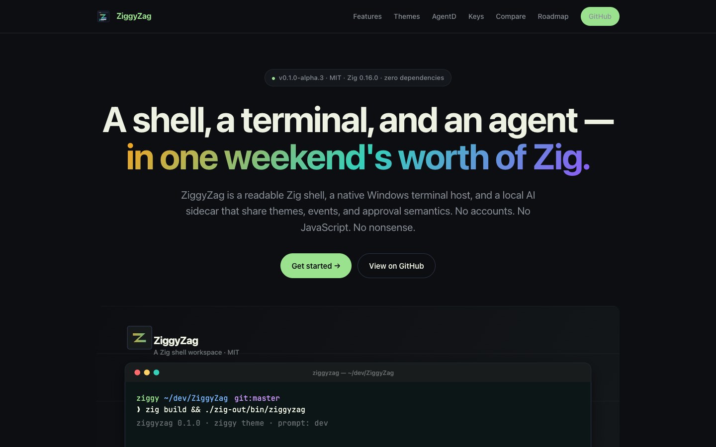 ZiggyZag documentation page with terminal workspace preview